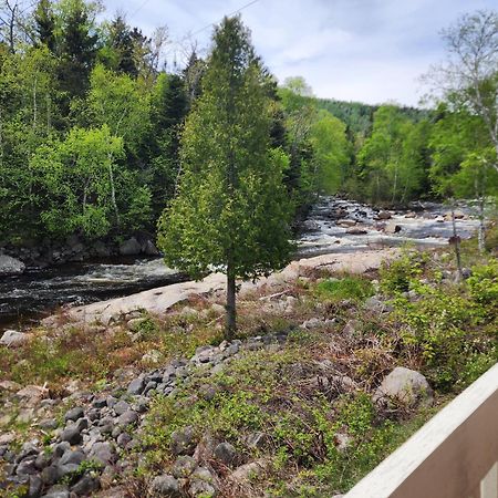 Motel Et Chalets Bo-Fleuve Evangeline Saint-Siméon Eksteriør billede