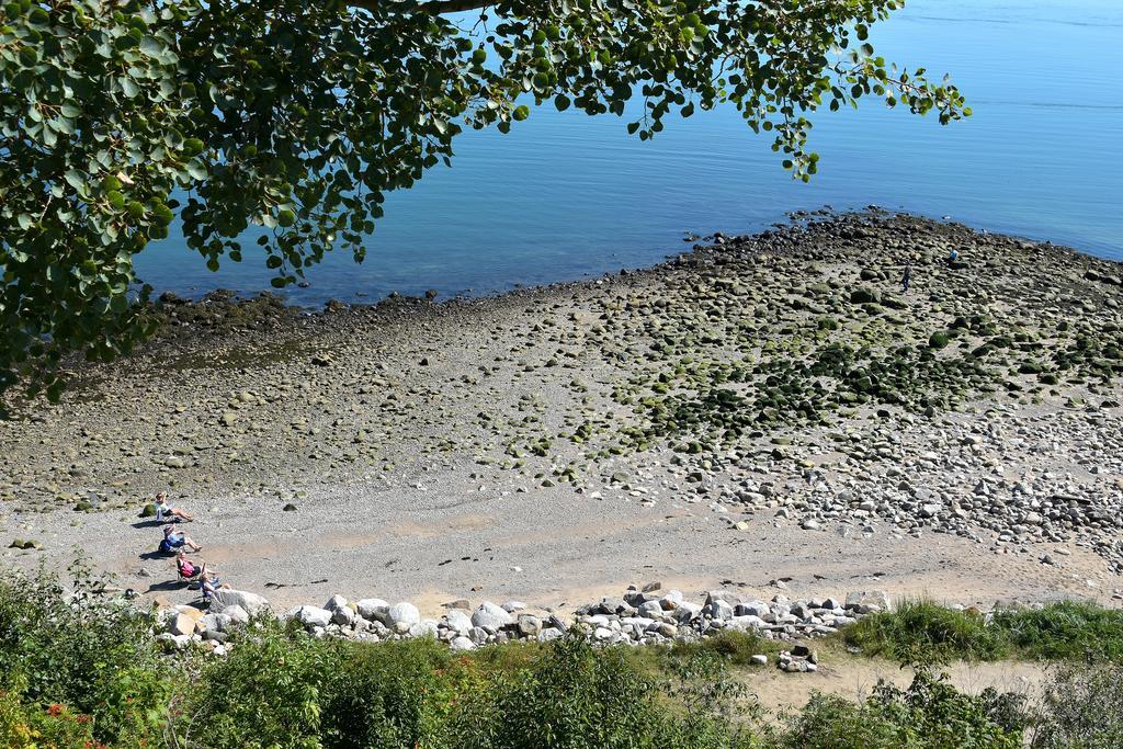 Motel Et Chalets Bo-Fleuve Evangeline Saint-Siméon Eksteriør billede