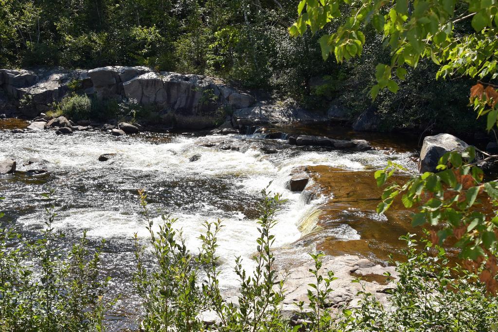Motel Et Chalets Bo-Fleuve Evangeline Saint-Siméon Eksteriør billede